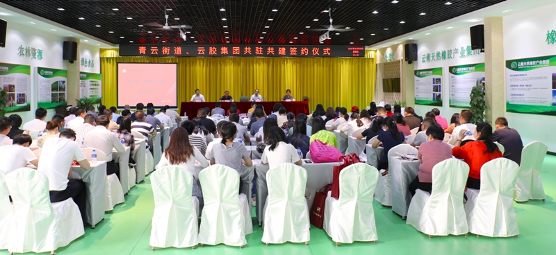 盘龙区青云街道与云胶集团开展系列共驻共建活动(1)10 (3419).jpg